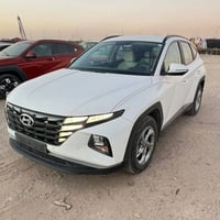 خليجي • ٢٠٢٤ • منفذ سفوان