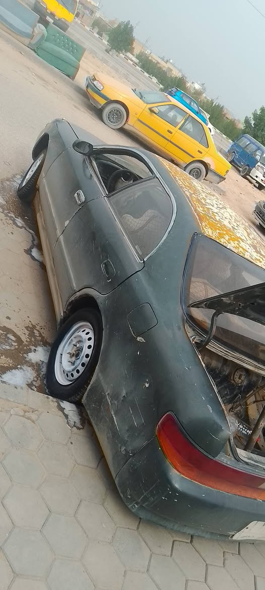 سلام عليكم شيزر رقم مثني راعيه بل مثني مداور ثاني يوم مكاني نجف مكفوله من كص بيع او مراوس سعر 33مكان نجف ***********
