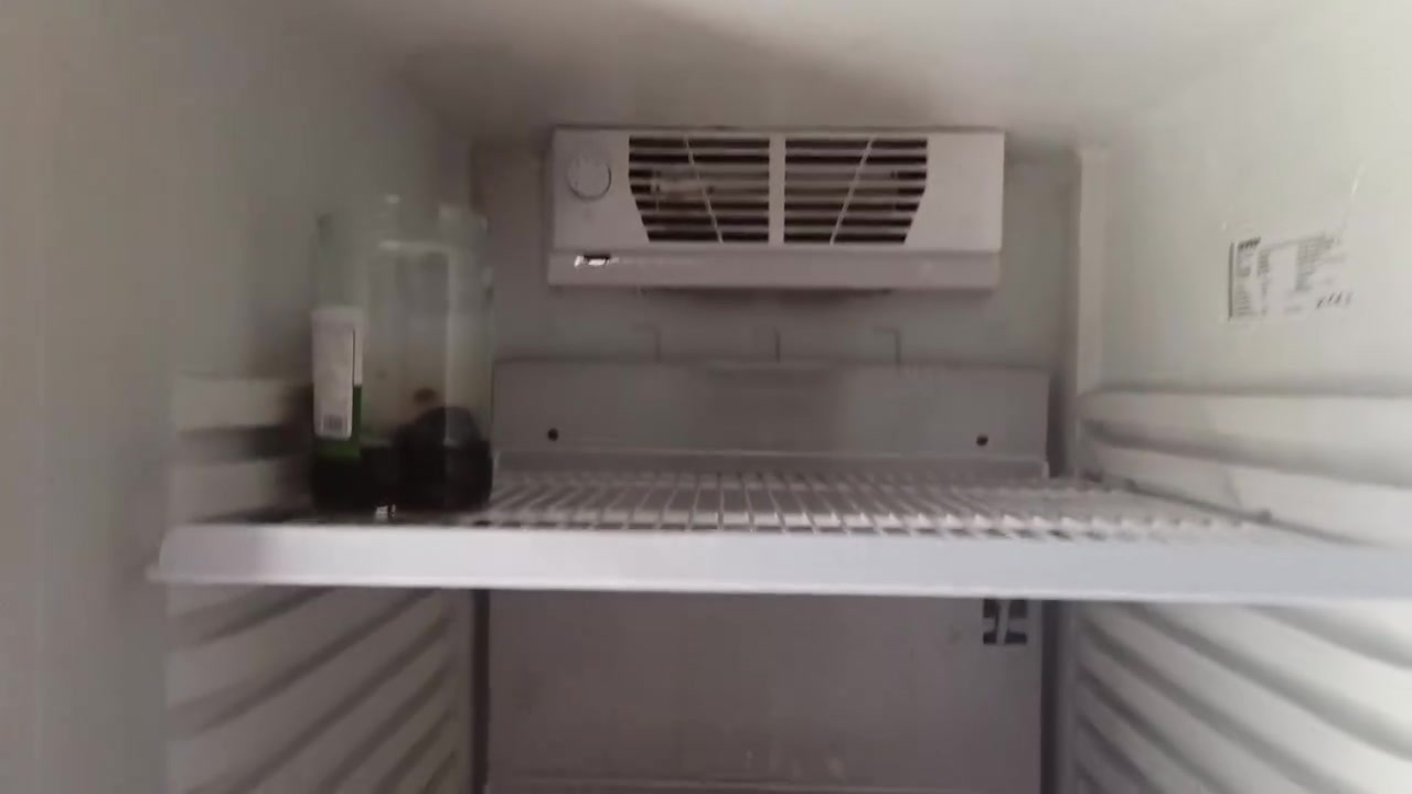 السلام عليكم عارضه عمرهه 5اشهر عارضينهه للبيع بسعر مناسب مجمده بطحيه هاذ الثلج مالهه و عارضه ايرانيه بسعر مناسب ***********
