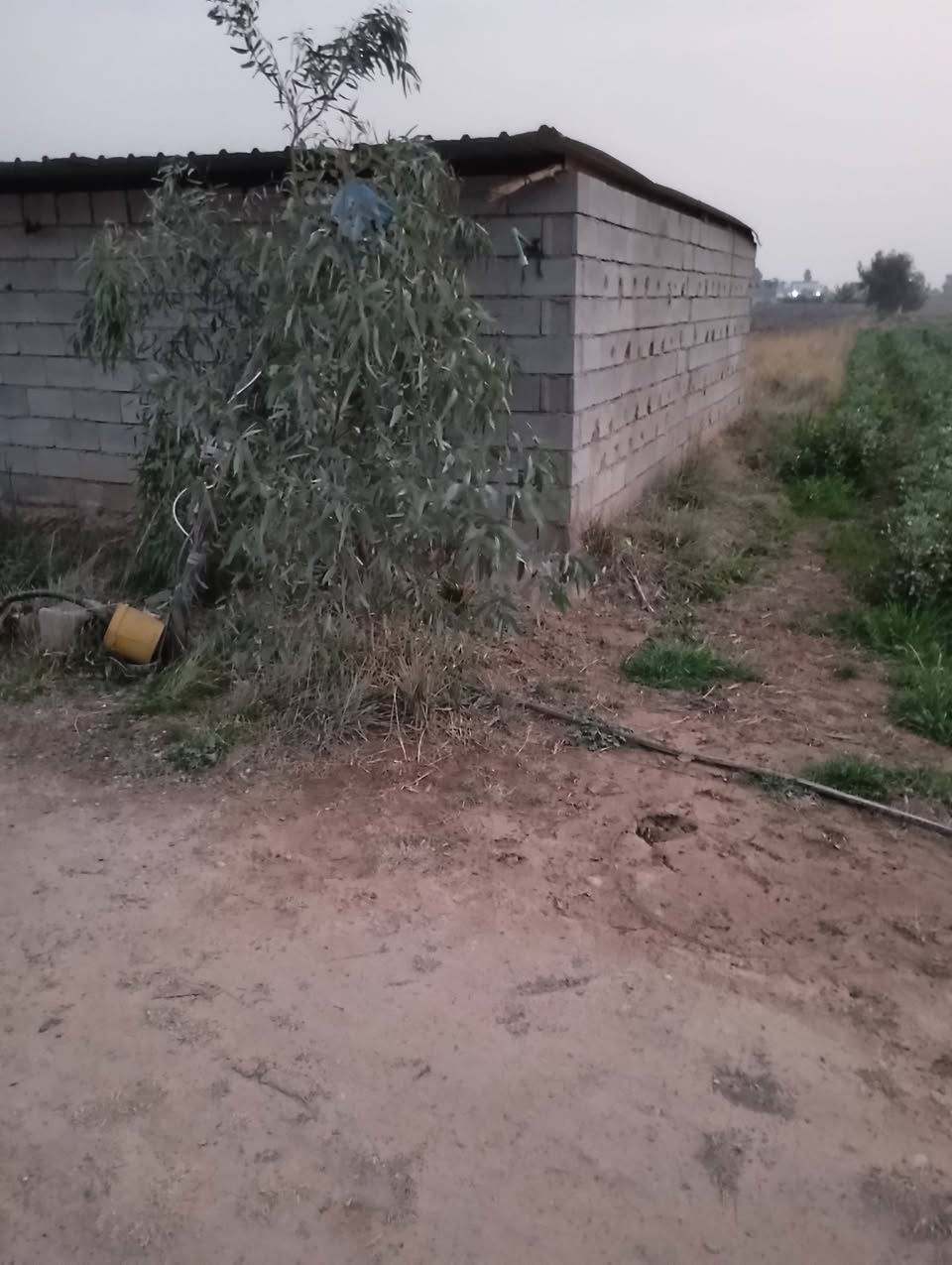 سلام عليكم دوار للبيع المساحة 150م
وسقيفة هم وياهة تريد السقيفة وحدهة عادي 
السقيفة عرض 9م ونزال 7م بير موجود بيهة ومزروعة شجر 
وبيهة تلث غرف الشراي بي خير ويدلل ه‍ ***********
