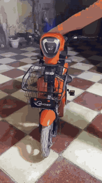 سلام عليكم دراجه شحن للبيع الدراجه امانت الله نضيفه كلش و احله من الصور 
1 استاند مبايل 
2 دبل اسويج و دبل بصمه 
3دبل امامي و دبل خلفي 
4اشاير يمنه يسره شغاله 
5 سرعه الدراجه الحقيقي 70
6 هورن قوي 
7 قفل  خلفي تاير الدراجه 
8 لد امامي و خلفي 
 9 شاحنه الدراجه وياهه 
10 ملف نحاس 
11 عدد البطاريات 4
12 الدراجه كلشي ما مبدل بيهه 
13 الدراجه ما صارلهه شهر من اشتريتهه 
مكان الدراجه حله شارع 80 حي العسكري 
سعر 290 و بيهه مجال حك الجيه 
رقم الهاتف ***********
