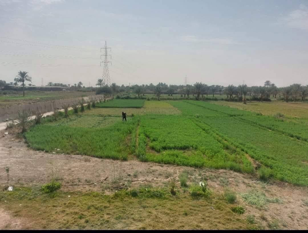 دوانم ثلاثه للبيع منطقة عكركوف النخيل قرب مجمع اسد بابل طابو زراعي سند 25 بأسمي على طابو ابو غريب الواجه ٦٠ × ١٢٥ الاستفسار اتصل ه‍ *********** / *********** غير متواجد على الفيس
