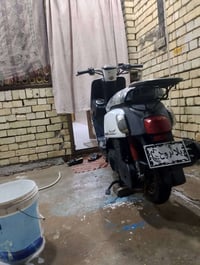 ماكس بوليس • مسطره • ٢٠١٤