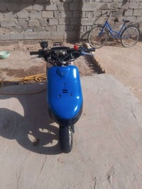 بطة • منغولي • مجال