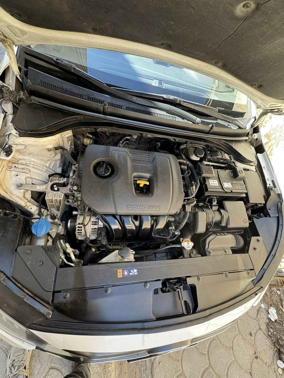 النترا 2020
حادث جاملغ وبنيد عكس السائق +كلير باب الصدر ملاون 

ب 💸130 وبيه مجال بصيط رقم بغداد تحويل ثاني يوم

هذا رقمي ***********
