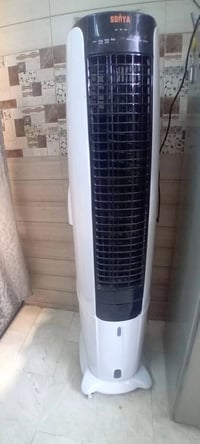سبلت عمودي • جديدة • السبع ابكار