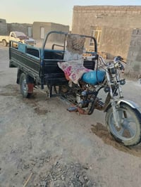 ستوتة • ركبة مكفولة • سعر خاص