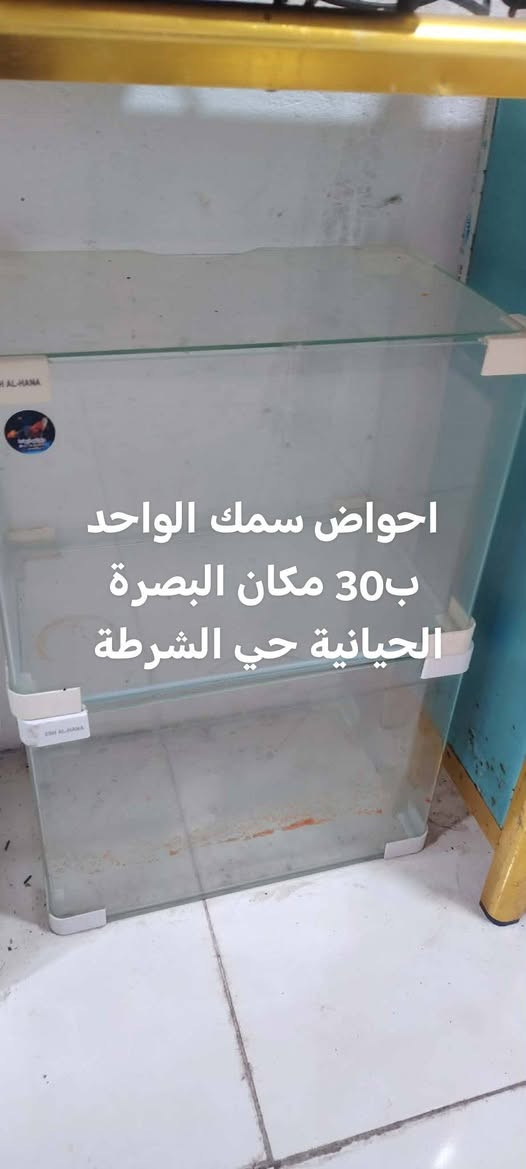 غراض مستعملة للبيع


**إذا كنت صاحب هذا الإعلان وتريد حذفه لأي سبب، رجاءا أرسل رسالة إلى الدعم الفني**