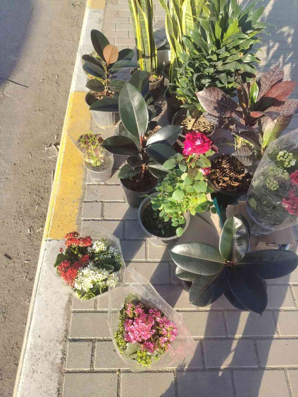 بسم الله الرحمن الرحيم
اللهم صل على محمد وآل محمد
توفر ضلي بي
مطاط جلد نمر فوجير
يوجد خارجي جهنمي متسلق  جوري


**إذا كنت صاحب هذا الإعلان وتريد حذفه لأي سبب، رجاءا أرسل رسالة إلى الدعم الفني**