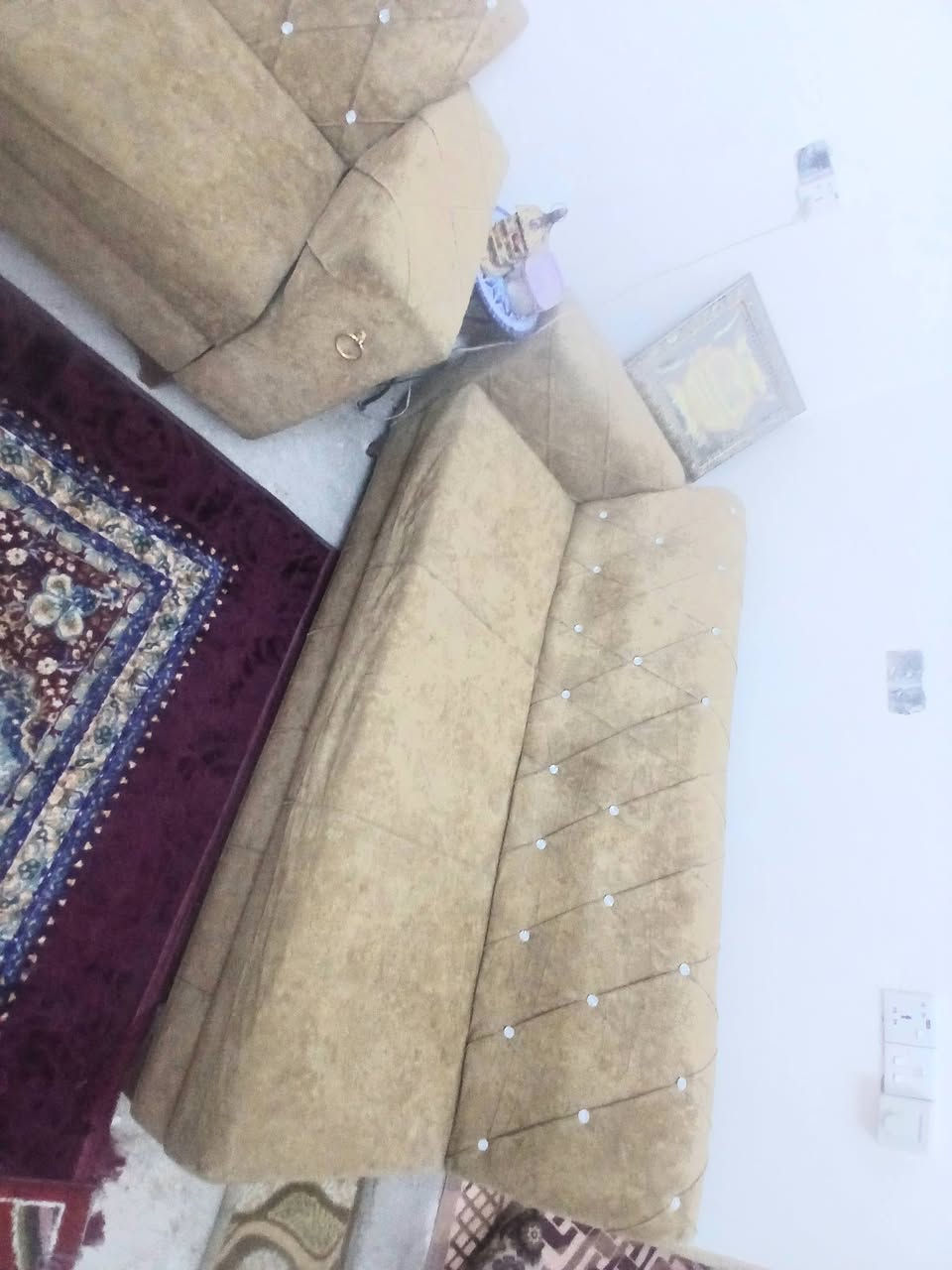 تخم اللبيع ٥مقاعد سعر ١٠٠ قفل شراي يتصل او مراسلة واتساب رقم الهاتف ***********
