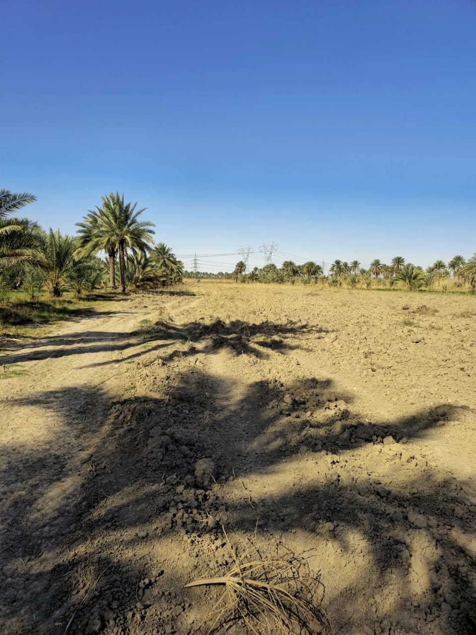 أرض زراعية 6 دونم طابو سند 25 باسم شخص واحد تحويل سعر الدونم 45 مليون قابل للتفاوض كربلاء ناحية الخيرات الموقع موضح بالصور *********** سقي سيح وكهرباء طوارئ
