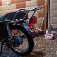 ٤ كير • بدون أوراق • الحر