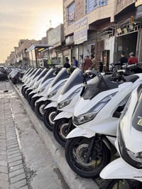 معرض حمودي السيد • الجيل الربع • ضمان