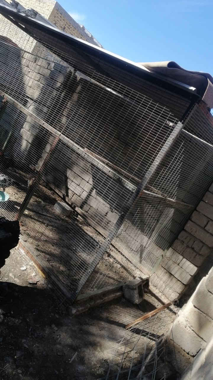 محميه حديد وبيراسي كله من هاذ الزين قياسات طول 3 متر.. العرض مترين اله ربع.... ارتفاع متر و90

السعر 200 وبيه مجال بسيط الشراي

ماتنشال ثكيله تتفصخ قطع وتنشال

المكان القرنه المحكمه  جسر المشاة ***********
