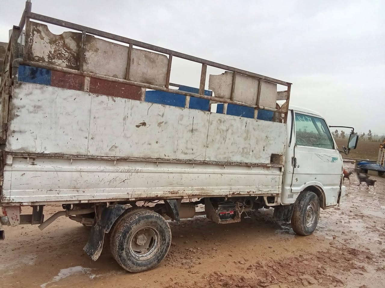 سلام عليك كيه بنكو موديل 97 كسن كير شاصي المكينه بدايه صرف علوج مكان ربيل سعر 21 به  ***********
