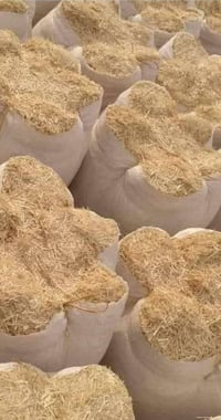 ورحمت الله وبركاته جميعًا اخوتي العزاز تبن للبيع درجه لا ولا رقم الجوا...