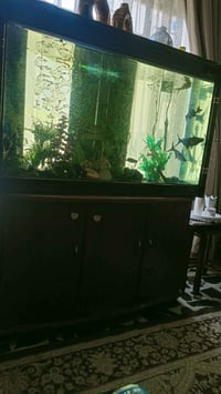 حوض سمك • عرض ١م+ • مشتل