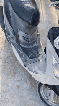 للبيع والمراوس بوشه 55  //***********
موجود ع الخاص /كمستازيا👍
