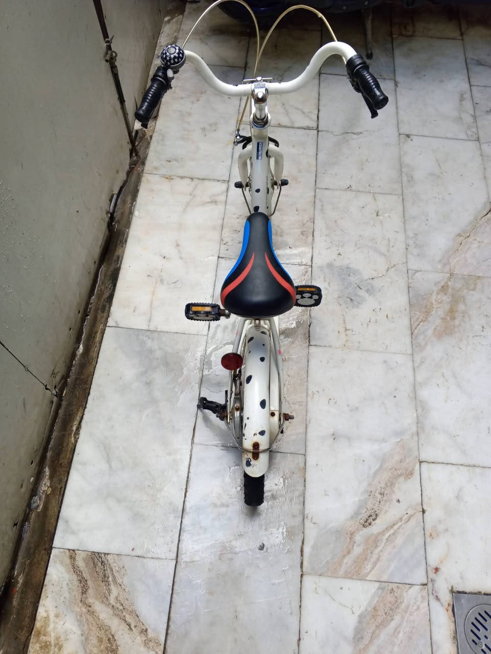 السلام عليكم 
بايسكل اطفال ياباني للبيع كسر حاوية سعر 65 الف مواصفات البايسكل:-
1- لون ابيض 🤍.
2- حجم البايسكل 16 .
3- تايرات خط ابيض كتان اصلي 💫.
4- بريك امامي + خلفي شغال 💯.
    مكاني 📍 بغداد الشعب شارع الصحة قرب سوق صبح 🛑 يتوفر خدمة توصيل 🛑 رقمي للستفسار ***********
