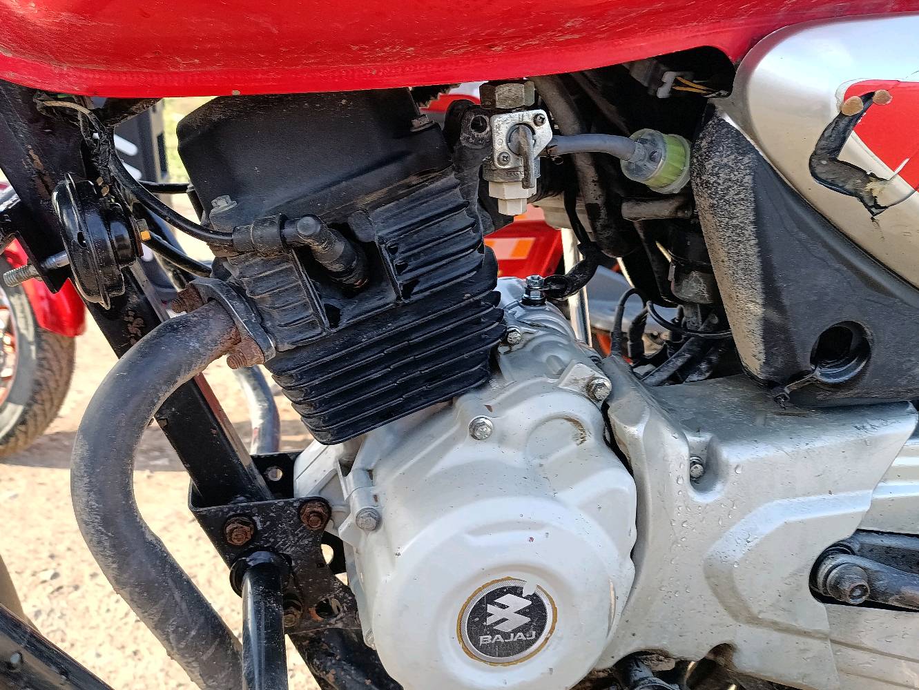 بوكسر جبلي 2021 كامل من كل شئ تطلع تراي يلا تشتري رقم انكليزي بغداد وبأسمي تحويل ثاني يوم مكاني ديالى المقدادية 