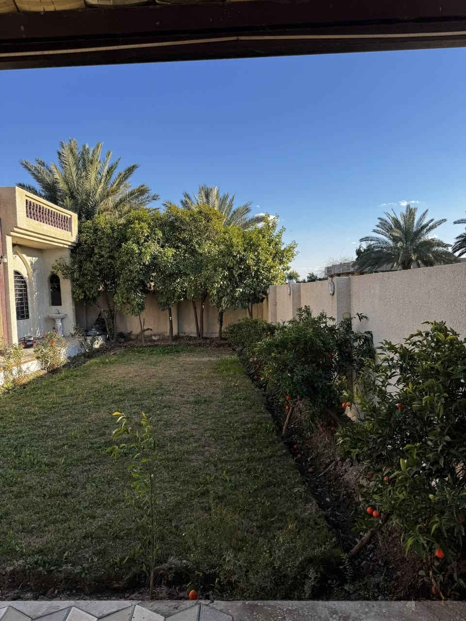 السلام عليكم
بيت وبستان 7 دونم 
تقطيع حسب الطلب تريد 1/2/3 او اكثر 
ملك صرف سند مستقل شرط التحويل 
بغداد سلمان باك بداية الخناسة 
بيت كامل ومؤثث بناء درجة اولى 
2 غرفه واستقبال ومطبخ حديقة وكراج جاهز من كلشي 
مولد حجم كبير 30 كيڤي واضح بالتصوير 
بير ماء خاص بالبستان 
مي سقي من الشط 
انواع الحمضيات والنخيل 
للاستفسار اكثر 
***********
