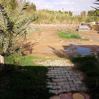 كوفه حي ميسان • ١٠٠م • سند ٢٥