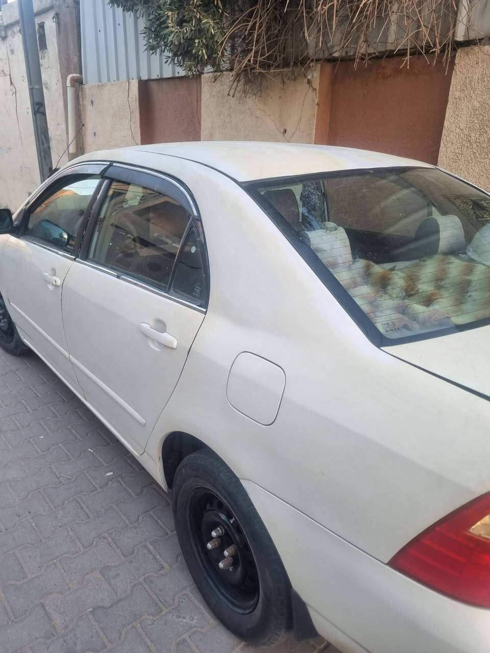 سيارة بيكاتشو ٢٠٠٧ خليجي رقم بغداد دولي عندي وكالة عامة بيها  كير ومحرك وتبريد جاهزة مصبوغة عام تحتاج ترتيب وحدادية السعر ٧٣ وبيها مجال  مكانها كربلاء للاستفسار الاتصال على الرقم ***********@
