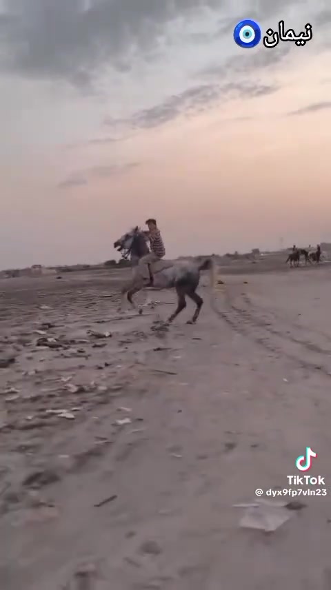 حصان. للبيع رتفاع  52 حصان سالم
الستفسار خاص.  أو. تصال عل رقم ***********
