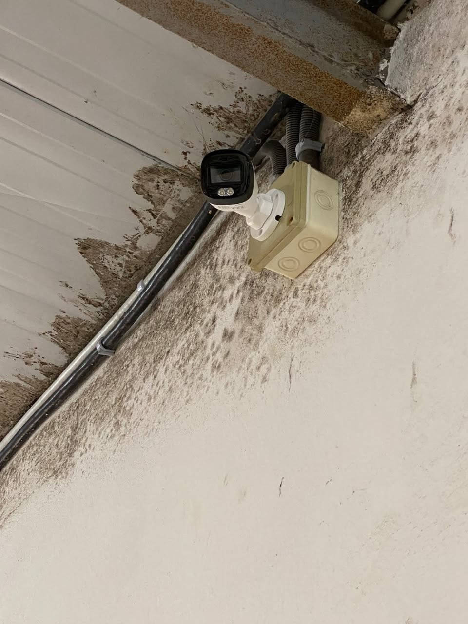 #اللهم صل على محمد وآل محمد 
الحمد لله 
تم نصب منظومة ٢ ميكا بكسل نوع دهوا صوت وصوره 
فول كلر 
كامرات مراقبة في    
دقة _وضوح_ أمانة _اتقان _ مهنية 
محافظة......بابل  

 *********** واتساب 
***********
