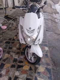 ماجسته اس • شغالة • قرب مرور التاجيات