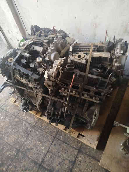 تتوفر لدينا محركات كورية وارد أمريكى من موديل ٢٠١٥ فما فوق الانترا - سوناتا - سبورتج - صول - كونا - سنتافيا - سورنتو - مهارفي
العنوان:  ساحة الطيران خلف الكراج  محل حازم اللامي تلفون *********** البيع جمله ومفرد
 #سيارات  #قطع_غيار #اللامي #كوري
