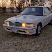 ابيض صدفي • مكفوله • رقم كربلاء