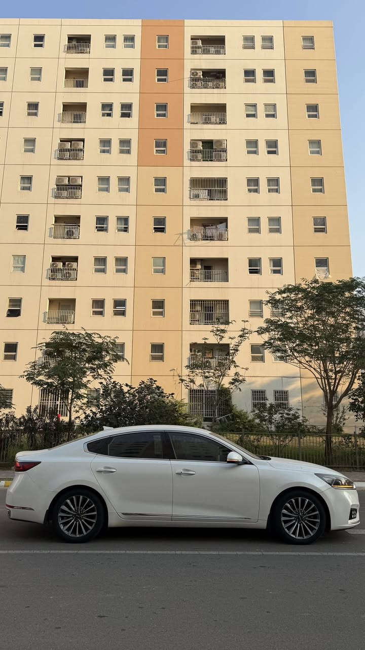 ***السلام عليكم***
نوع السيارة/كيا كادينزا 
الفئة والموديل/امريكي٢٠١٨
حجم المكينة/٣٣٠٠ gdi
عداد الممشى/٦٩٤٠٠ الف مايل 
المواصفات/
فول مواصفات عدا البانوراما-داخل جلد كشنات تدفئة-شاشة اعطال- انارة ترحيب قبضات الدخول وانارة داخلية -بجم مازدات خليجية اصلية ٣عدسات زنون 
الحادث/ تبديل بنيد ودعامية وصبغ القمارة بدون تصليخ فقط تعديل  (الشواصي؛التكم؛ اللغود سليمة شرط السونار ) فقط البدنة الامامية متأثرة بالحادث،،،القمارة طعجة خفيفة مصبوخة من الخارج اجتي السيارة طاك ايرباك الدركة والبردة جهة السايق فقط….
السيارة نظيفة جداً كدواخل ومكينة وكير وحدادية كهربائياتها وتبريدها مكفولات كلهن سيارة ناعمة وجاهزة من كلشي 
رقمها وهزتها جديدات ٢٠٣٠ تسقط سنويتها باسمي السيارة  لونها ابيض صدفي ميتاليك
‼️السعر‼️
-١٥٥ ورقة وبيها مجال السيارة
الرقم/***********
