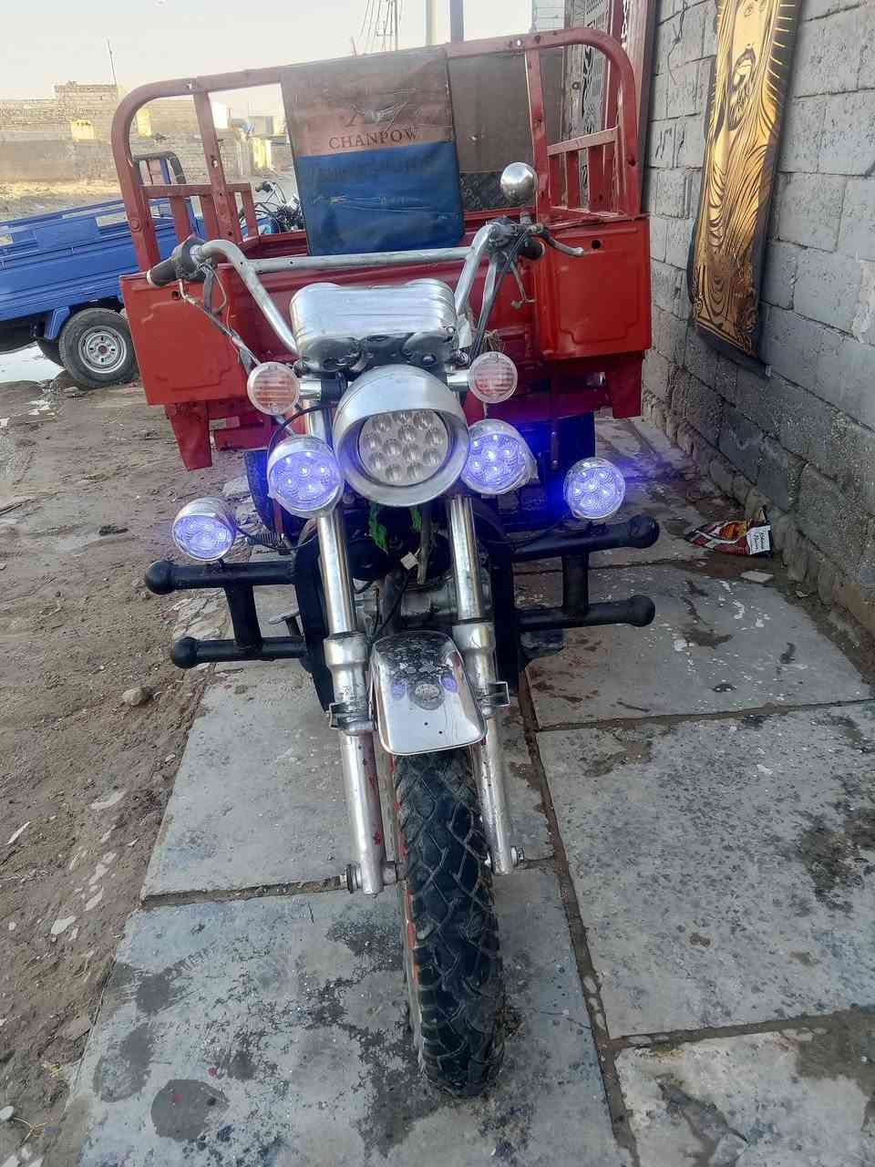 ستوته للبيع سنويه ورقم ابيض  للتواصل ***********
