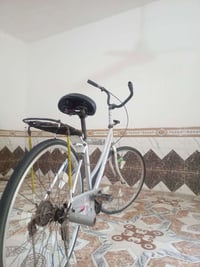 باسكل • مراوس • الشطره