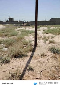 قطعه ارض للبيع المساحه 300متر العنوان بغداد حي البتول شارع مترست الخير...