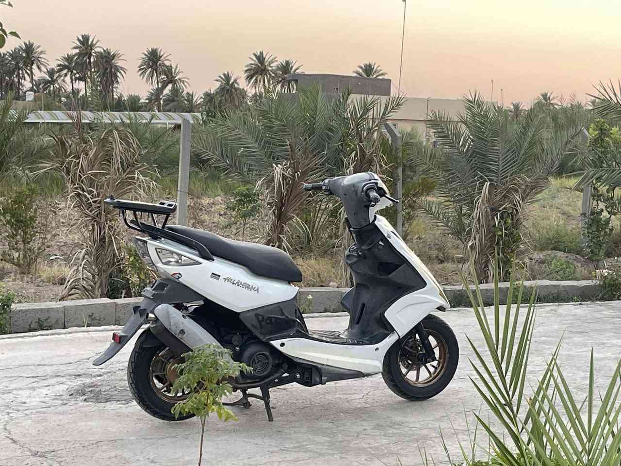 سلام عليكم
ماكس مظلع ياباني
دراجه جديده بمعنه الكلمه
مكينه مامفتوحة 49 بلادية
مكينه ناعمة
كفرات كله بلاد مختمات 
دراجه بعدهة جديده 
سعر 650 وبيهة مجال 
متوازي عل بيعتهة 
رقم ***********
مكان بابل ناحية النيل
