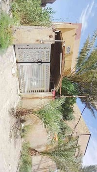 منطقة الألف • ٣٠٠م • طابق ونص