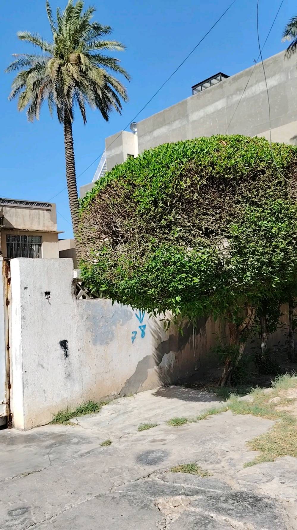 للبيع قطعة أرض مميزة – اليرموك الداخلية / محلة 614
📍 المساحة: 925 متر²
📏 الواجهة: 25 متر
📏 النزال: 36 متر
قطعة مميزة بموقع ممتاز داخل اليرموك، مناسبة لبناء دار سكنية فخمة أو مشروع استثماري، وتتميز بأبعاد جيدة ومساحة واسعة.
📞 للاستفسار: ***********
#عقارات_بغداد #اليرموك #ارض_للبيع #استثمار_عقاري #العالمية_للعقار