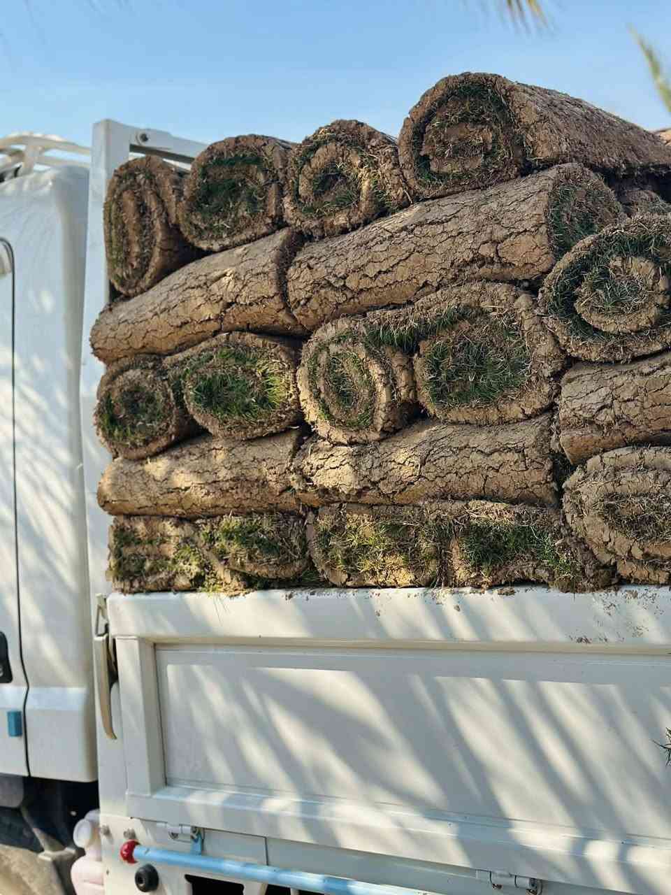 ثيل هندي درجه اولى 
متوفر مشتل شهيد العتبي
العنوان واسط العزيزيه قرب معمل السوس 
الاستفسار مراسله الصفحه او الاتصال ***********
