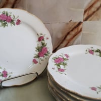 سيت ماعون • مورد • تواصل خاص