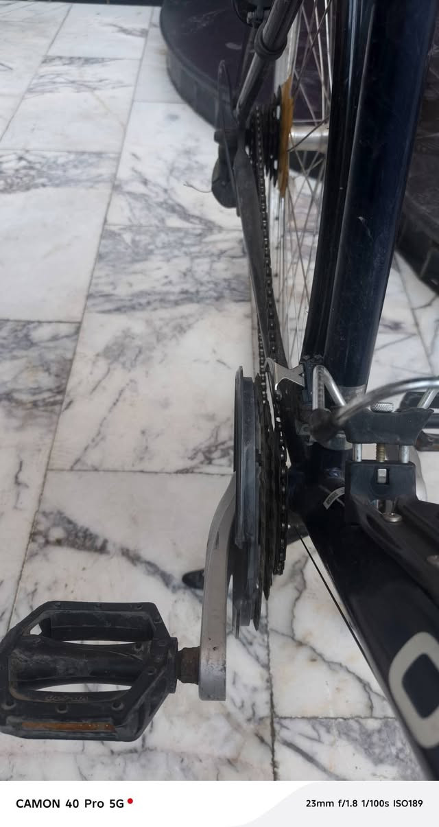 سلام عليكم شلونكم شباب بايسكل ترحال المنيوم ماركت برجيستون ارديلو كير ابو فر  ياباني وكشن طبي  شيمانو خلفي 7 نمر عكرب  ضراع بايدر شيمانو تايرات برجيستون
العنوان بغداد مدينه الصدر
الرقم  *********** سعر 190وبي مجال
