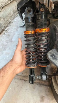 دبلات • رياضي • مشمشي