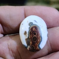 داودي يماني مصور وجه ولجعب قطعه خشنه السعر 35 الف للطلب 07725040403