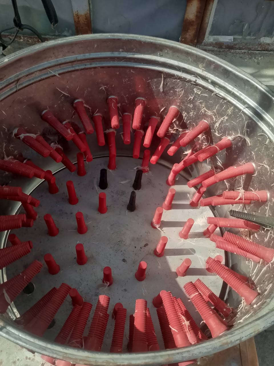 سلام عليكم من رخصة الادمن غراض محل دجاج مكينه هلاسه كهربائية شغاله جديده نضيفه كلش وثانيه يدويه 
وقفص مال دجاج طابقين وسنك ومذبح غراض نضيفه حيل. لمكينه هلاسه كهربائية 450الف. ول هلاسه يدويه 150الف 
ول قفص 150الف تفصال  ول مذبح ول سنك 35الف ول شراي كلهن 750الف بيهن مجال قليل عنواني البصره الجنينة وهاذا رقمي ***********
