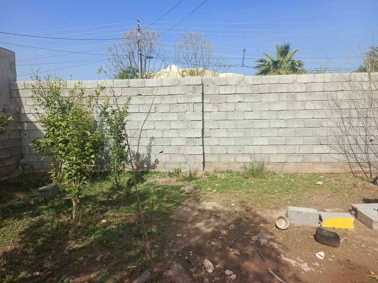 سڵاوبەڕێزان..ئەم زەویەمان.لایە..لە
ساڵح ئاغا..9.پانەو.23درێژە.واتە
ڕووبەری.207مترە.لەنێوان.دوخانوە
ڕووی سلێمانیە.هیچ کێشەی.کۆمەڵایەتی نیە.نرخی.ئەم
زەوویە. 125گڵاوتۆزێک معاملە.بەڵێ
ئەم زەویە.نزیک.مزگەوت.وبازاڕی
ساڵح ئاغایە...***********
