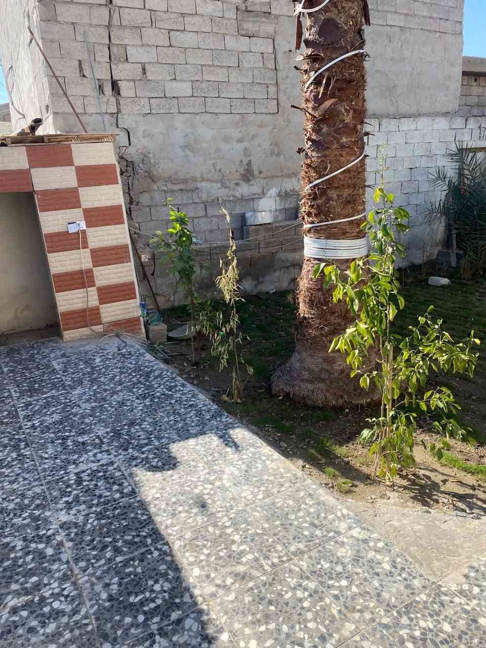 سلام عليكم بيت البيع عشوائيات خلف المنصه شارع المعهد السعر 23 وبي مجال مي كهرباء مجاري كامل البيت جيب غراضك وكعد خير من الله المنطقه شارع حلو رقم الهاتف ***********
