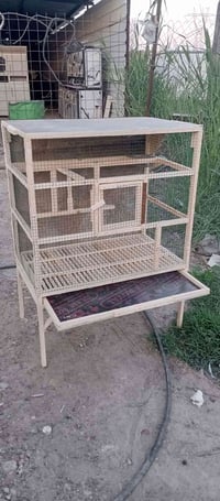 قفص بلابل • شغل مرتب • محتاج تنظيف