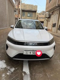 سي ليون • ٢٠٢٥ • بلگن هايبرد