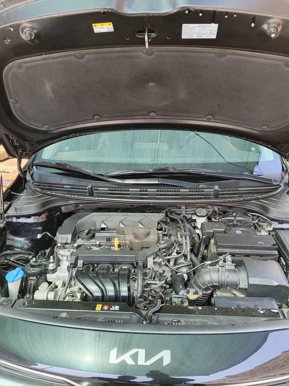 السلام عليكم 

كيا ريو موديل  22وارد امريكي

مكينة ١٦٠٠ دوش

كيرATالمرغوب

كير ومكينة كفالة 

رقم اربيل دولي 

شاشة  كار بلي 

كامرة 

تحكم جهتين 

تخم تاير 

حداديه جديده 

السياره بيها باب السائق أو الورى مبدله بامريكه

السعر 117 وبيها مجال 

مكان السيارة بغداد

للاتصال على الرقم ***********
